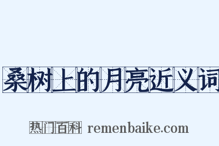 桑树上的月亮近义词是什么意思的图片